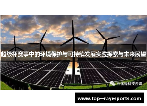 超级杯赛事中的环境保护与可持续发展实践探索与未来展望